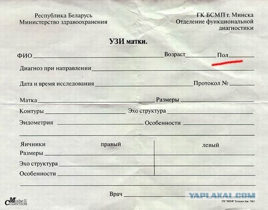Пора деградировать. Дичь