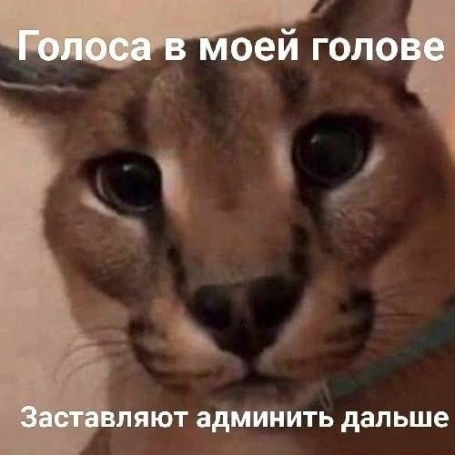 Картинки для деградации 20 (разной степени свежести)