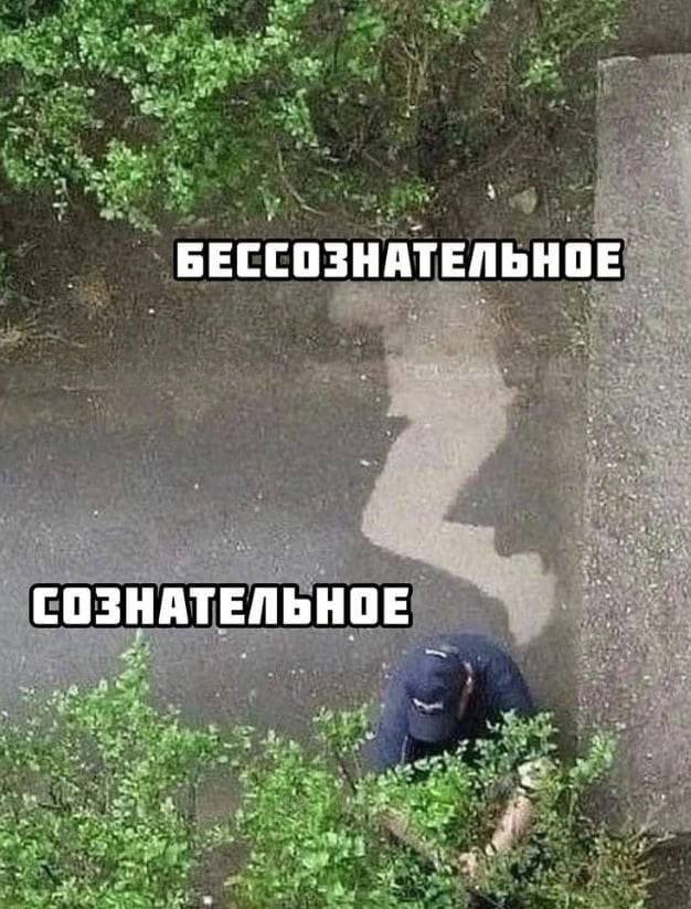 Нуштош 27.08.2025. Когнитивный декаданс (s4e8)