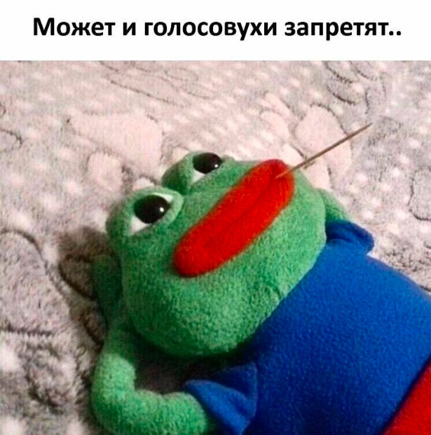 ТРРРидцать тРРРи от 29 августа