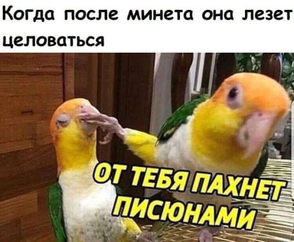 Пошлый и взрослый юмор