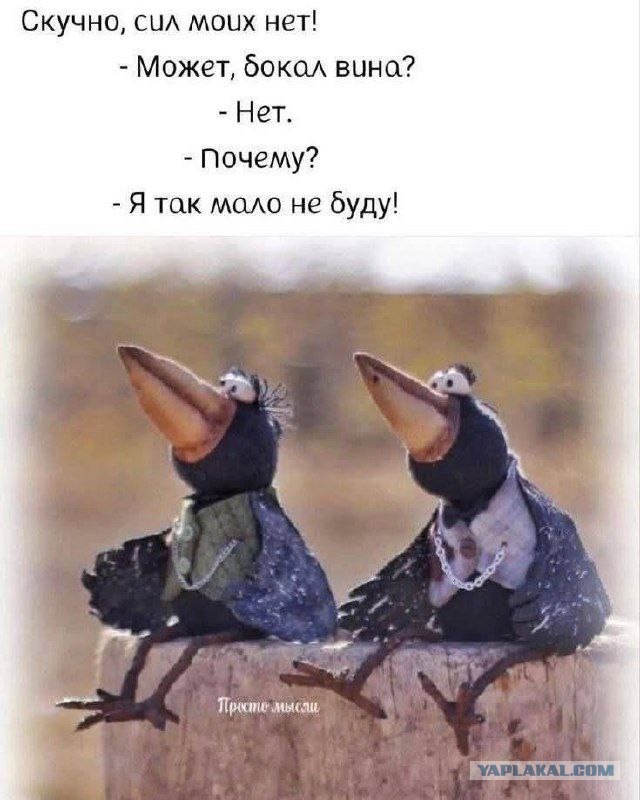 А еще в разные магазины захожу