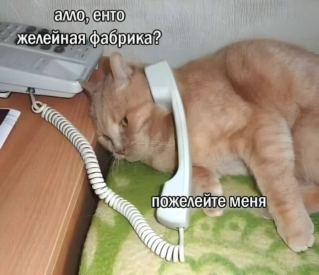 Картинки для деградации 172 (разной степени свежести)
