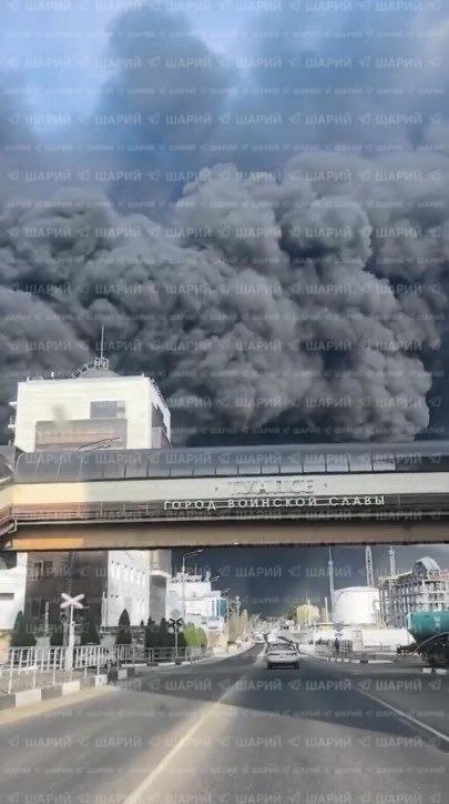 В Туапсе приняли решение озеленить город, для улучшения экологической обстановки