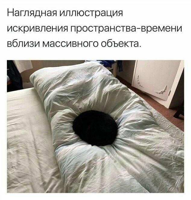 Картинки для деградации 245 (разной степени свежести)