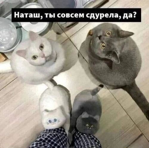 Картинки для деградации 282 (разной степени свежести)