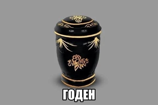 Мозг утерян безвозвратно, мы танцуем прикроватно!