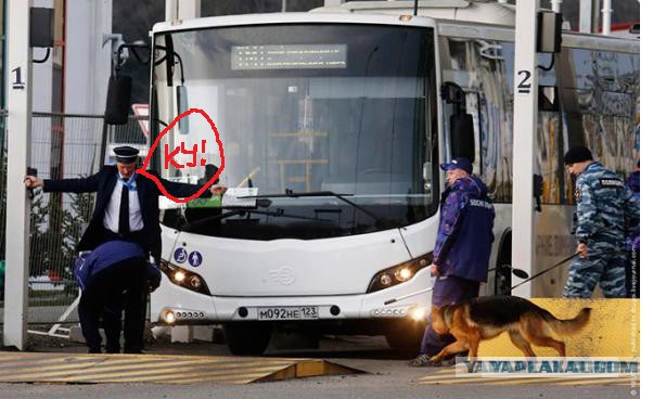 За неделю до Игр в Сочи