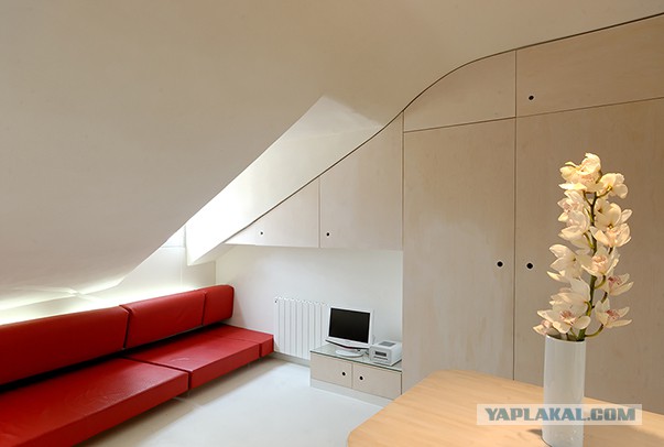 Нет денег на приличное жилье? Купите "путинку"!