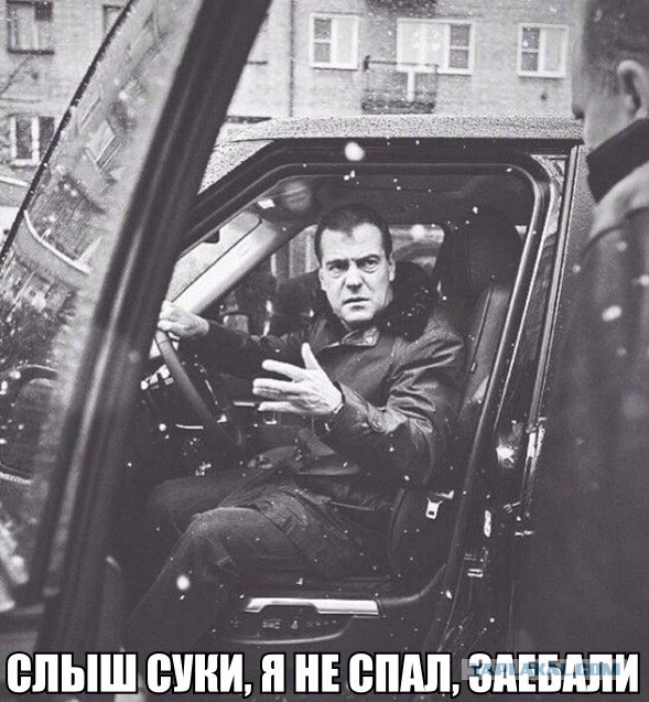 Медвединг