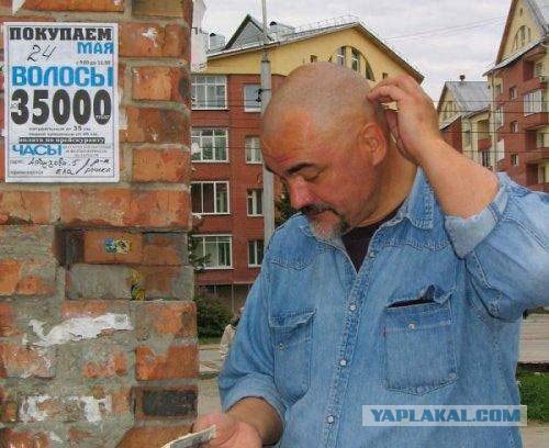У вас волосы сухие и ломкие?