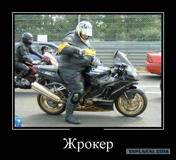 Веселые картинки