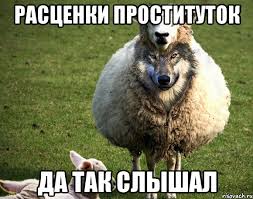 И до них санкции добрались...