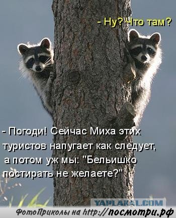 Весёлое из сети