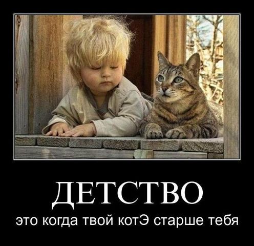 Коты, из которых получились прекрасные няни