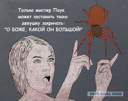 Размер имеет значение?