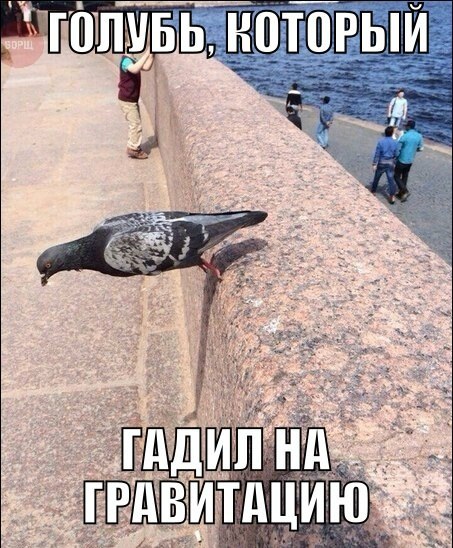 Забавные картинки из Сети