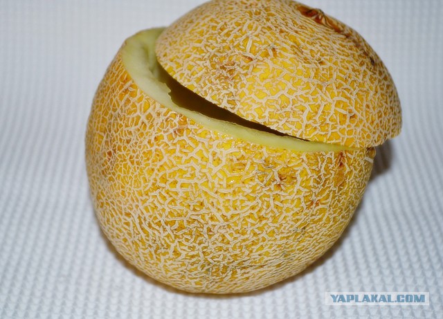 Коммунальные замУтки