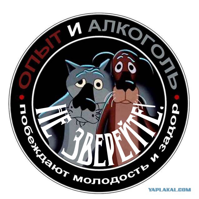 Пу-у-у-утин!