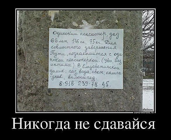 Прикольные картинки