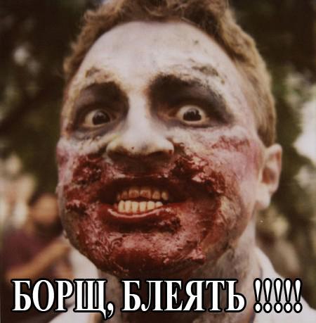 Нидерланды внесли каплю ясности в бочку бреда