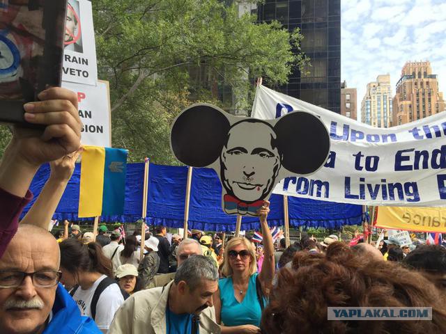 Жители Нью-Йорка вышли поддержать Владимира Путина