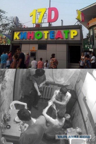 Прикольные картинки и демотиваторы