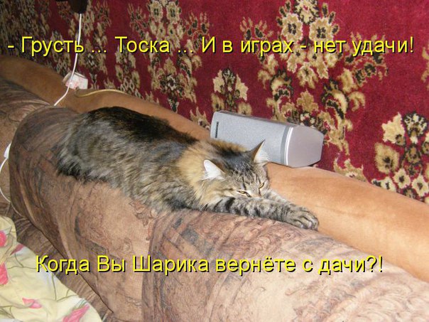 Прикольные картинки
