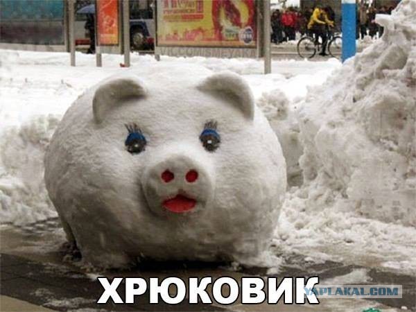 Подборка прикольных фото на пятницу
