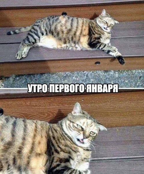 Картинки и демотиваторы