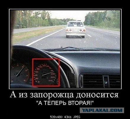 Демотиваторы на пятницу!