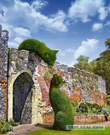 Свежая подборка красивых фото