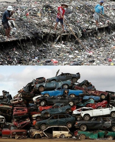 Интересные и веселые картинки