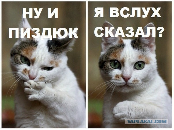 Смешные комментарии и картинки на новогоднюю и околоновогоднюю тематику