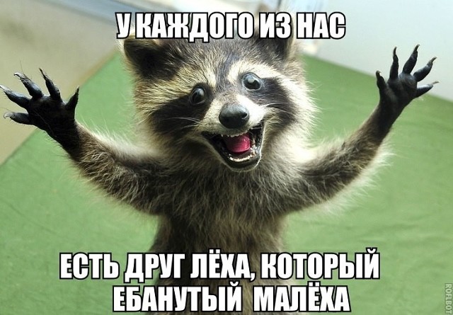 Подборка интересных и веселых картинок