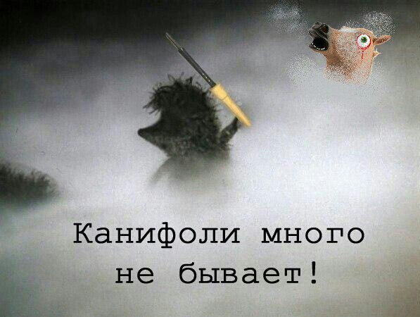 Юмор не для всех