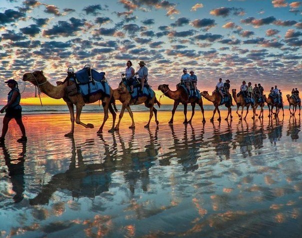 Моменты, запечатлённые на фото и просто позитив 5