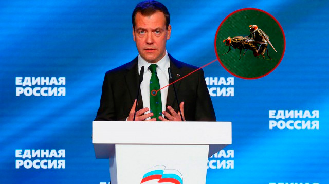 Медведев надел зеленый галстук с мопедами
