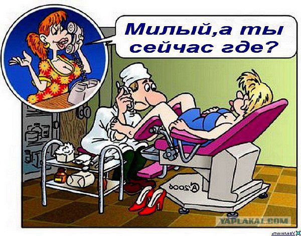 Как гинекологи себе жен выбирают
