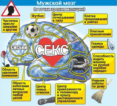 О женщинах в картинках – уголок мужского шовиниста (30+)