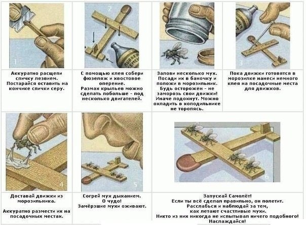 Смотрим и деградируем