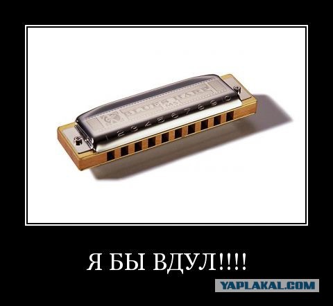 Внутри легального борделя в Неваде