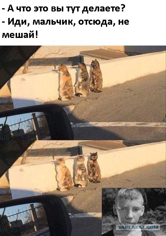 Деградировать подано