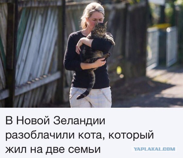 Фотомемы