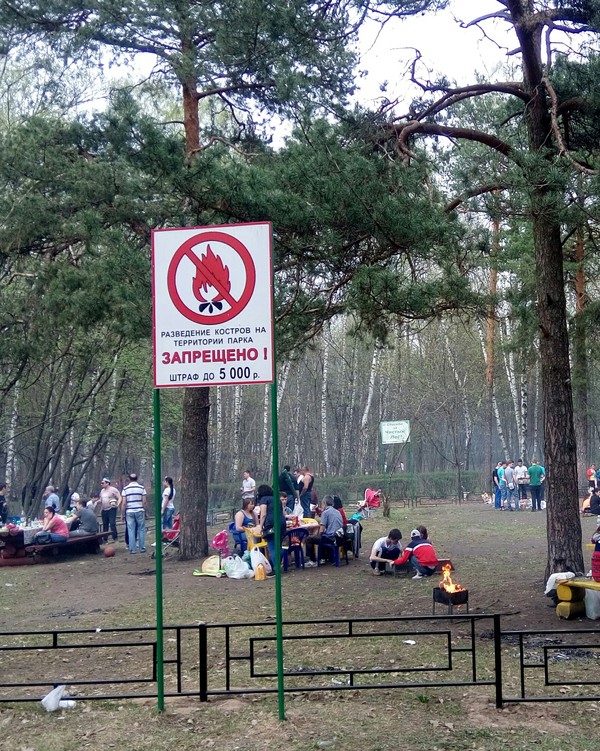 Подборка разного из сети