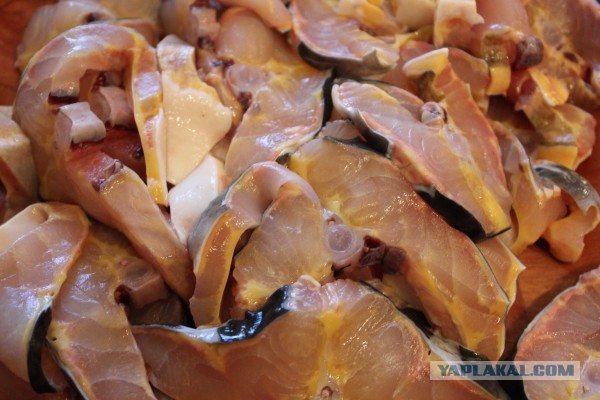 10 самых вкусных и популярных блюд мира