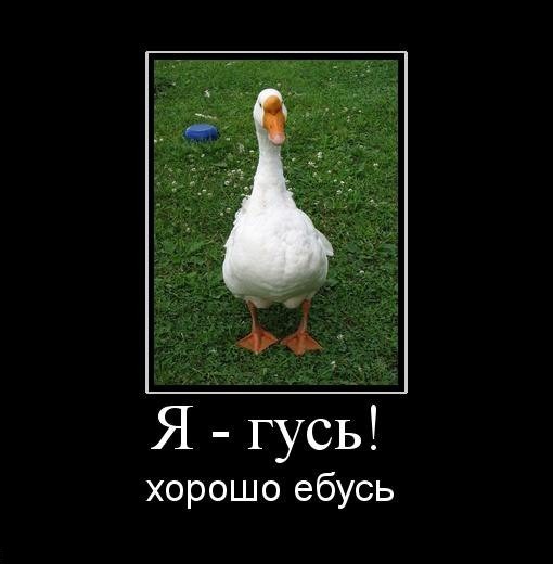 Мужики хитрые стали!
