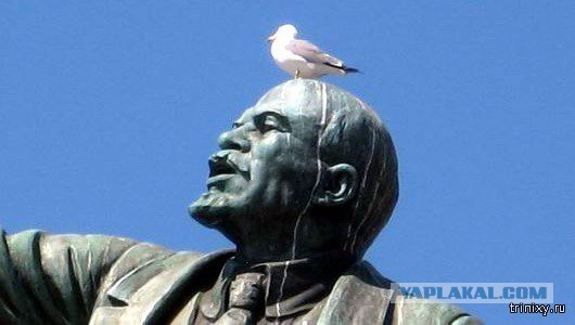 Вороны забросали камнями Ельцин-центр в Екатеринбурге