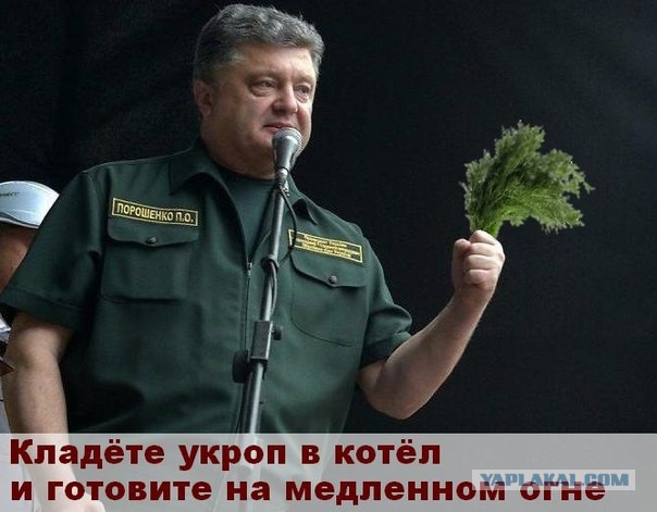 Воины укропы