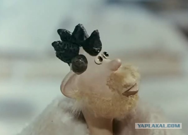 Антрополог Дробышевский об интеллекте разных рас